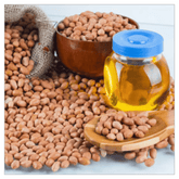 Groundnut Oil